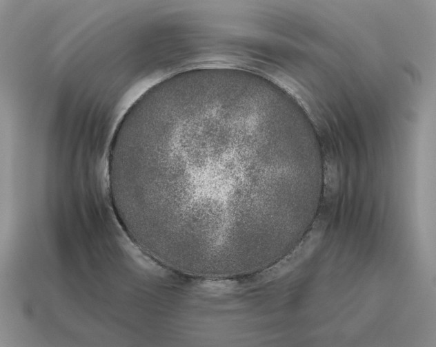 X0000113371466200909291041