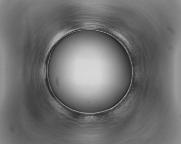 X0000113371467200909291041