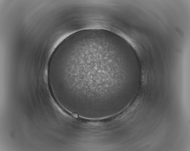 X0000113371468200909291041