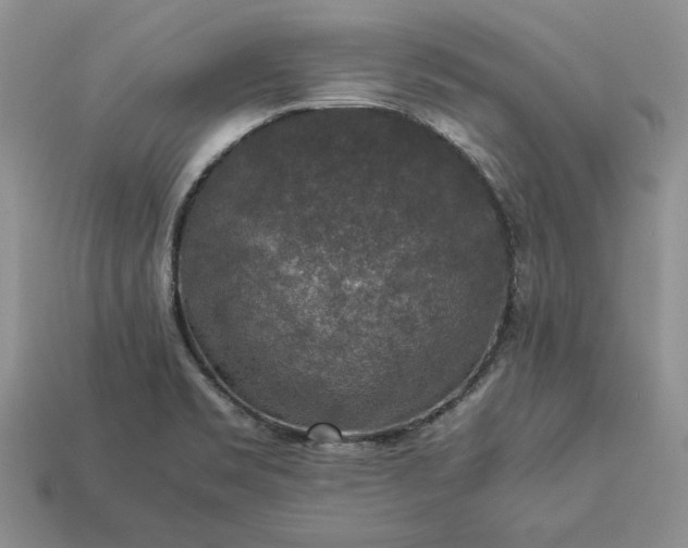 X0000113371469200909291041