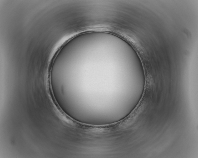 X0000113371470200909291041