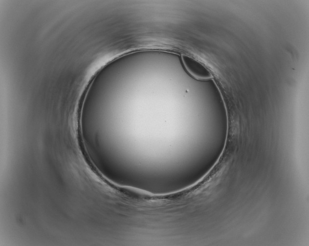 X0000113371471200909291040