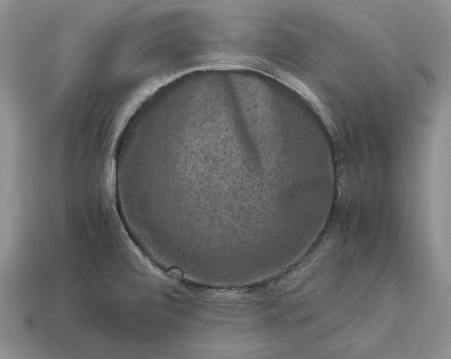 X0000113371472200909291040