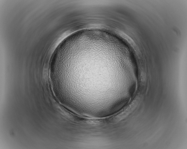 X0000113371473200909291040