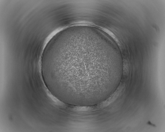 X0000113371474200909291040