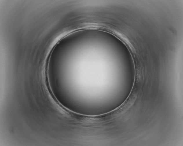 X0000113371475200909291040