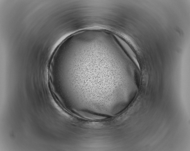 X0000113371476200909291040