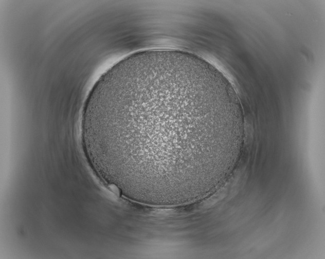 X0000113371477200909291040