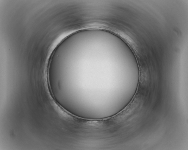 X0000113371478200909291040