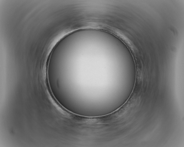 X0000113371479200909291040