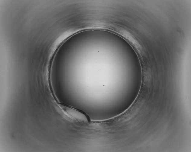 X0000113371480200909291040