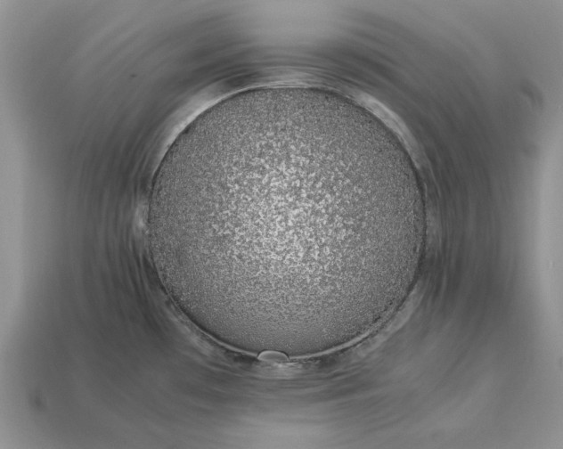 X0000113371481200909291040