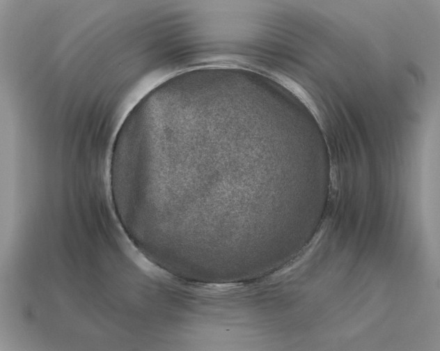 X0000113371482200909291040