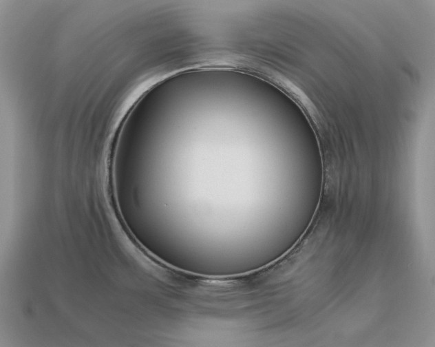 X0000113371483200909291040