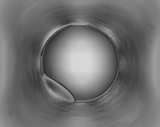 X0000113371484200909291040