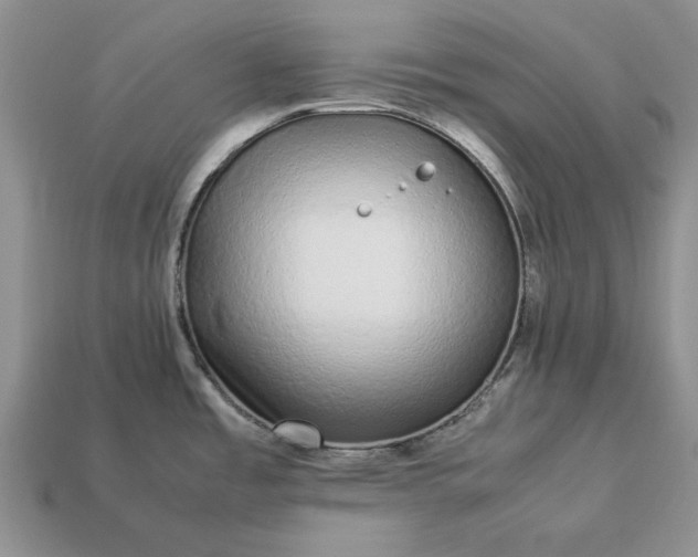 X0000113371485200909291040