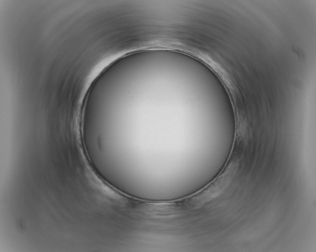 X0000113371486200909291040