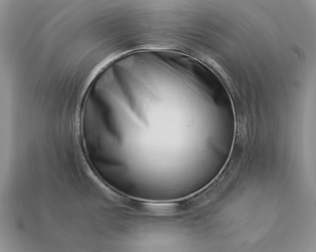 X0000113371487200909291040