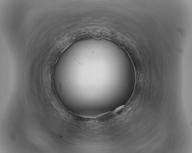 X0000113371489200909291040