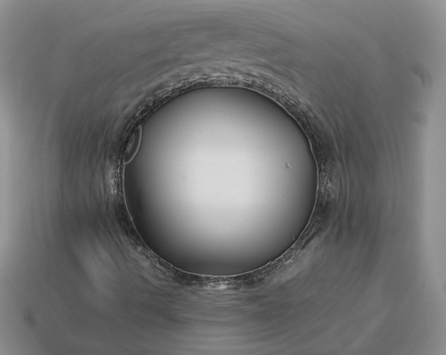 X0000113371490200909291040