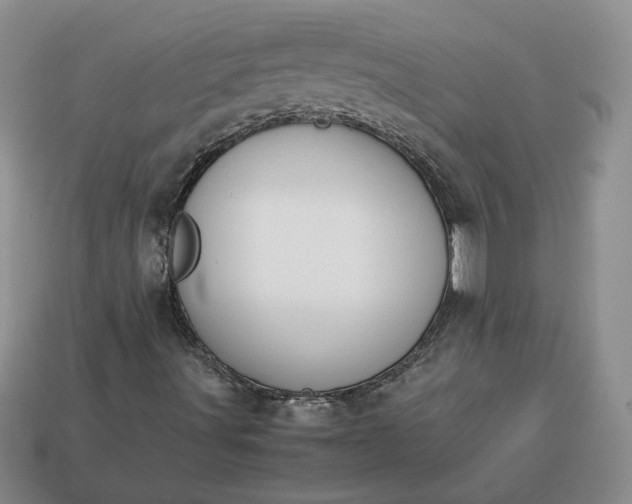 X0000113371491200909291040