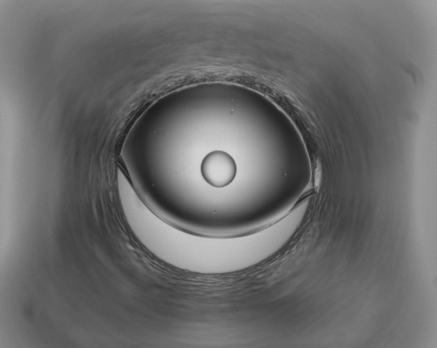 X0000113371492200909291040