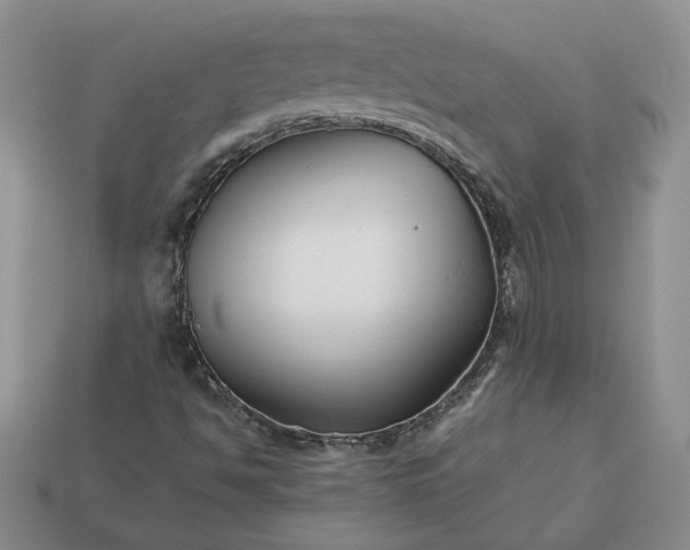 X0000113371494200909291040