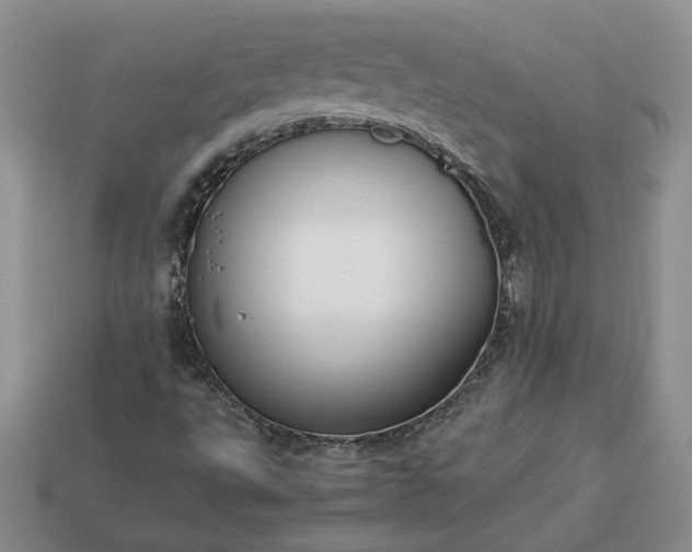 X0000113371495200909291040