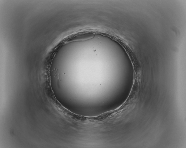 X0000113371496200909291040