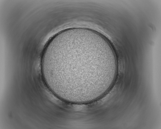 X0000113371498200909291040