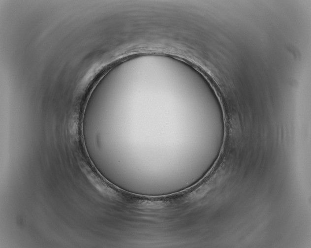 X0000113371499200909291040