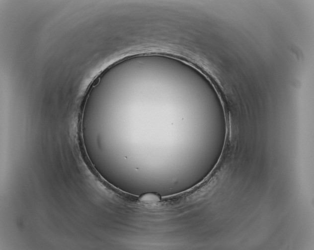 X0000113371500200909291040