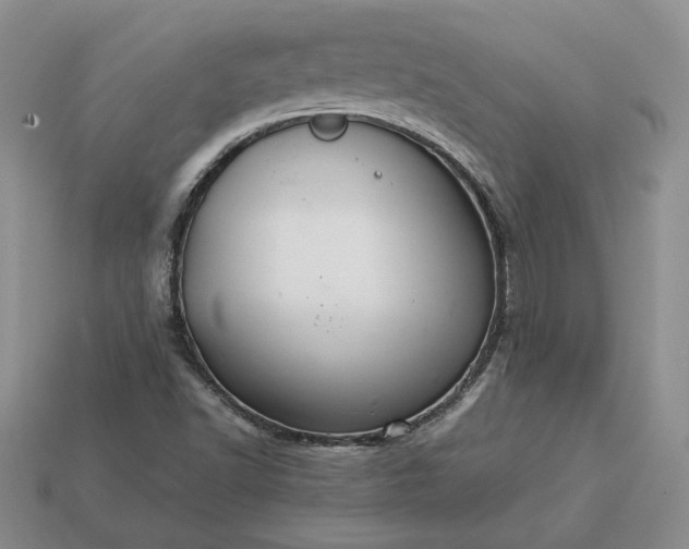 X0000113371502200909291040