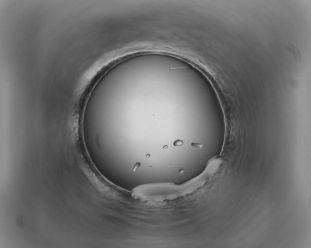 X0000113371503200909291040