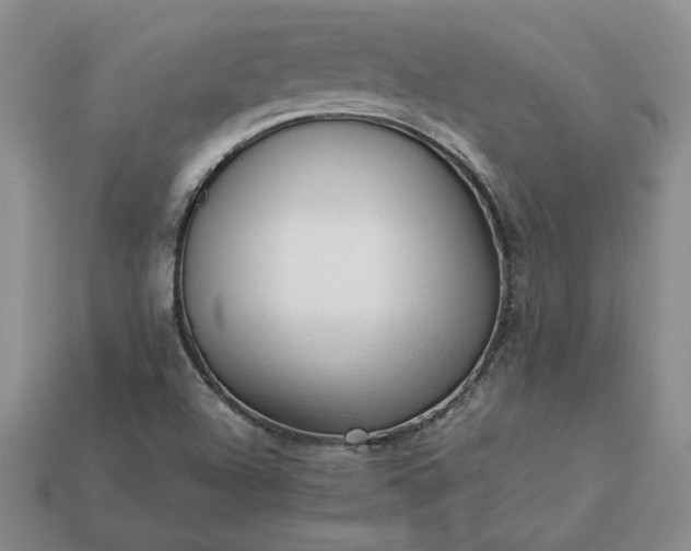 X0000113371504200909291040