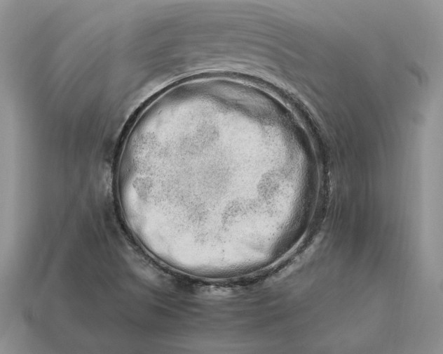 X0000113371505200909291040