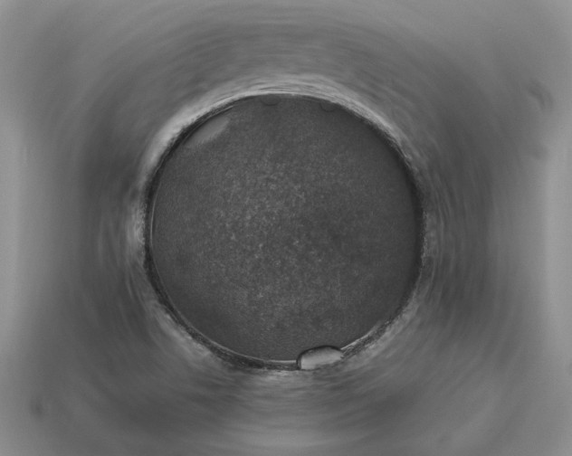 X0000113371506200909291040