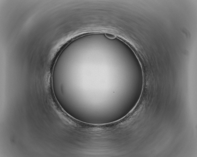 X0000113371507200909291040