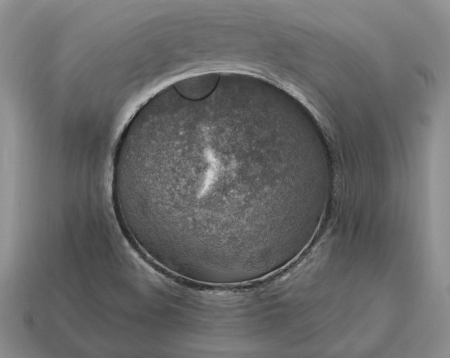 X0000113371508200909291040