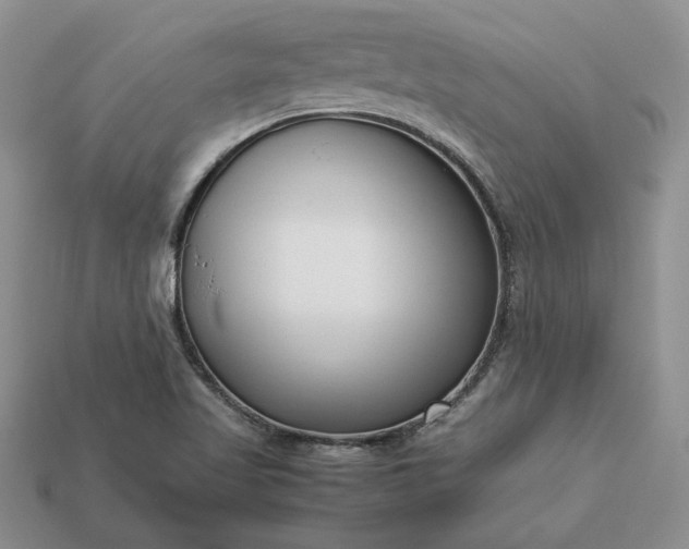 X0000113371509200909291040