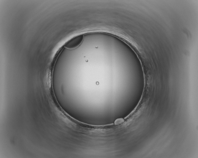 X0000113371510200909291040