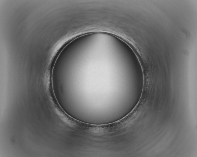 X0000113371511200909291040