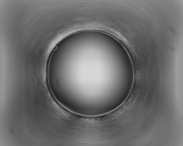 X0000113371512200909291040