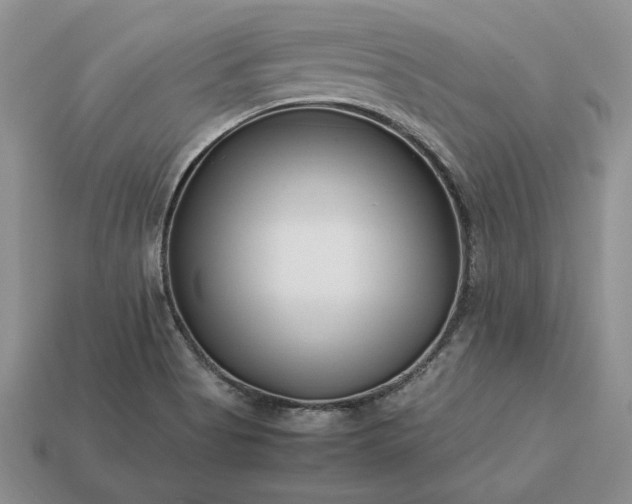 X0000113371513200909291040