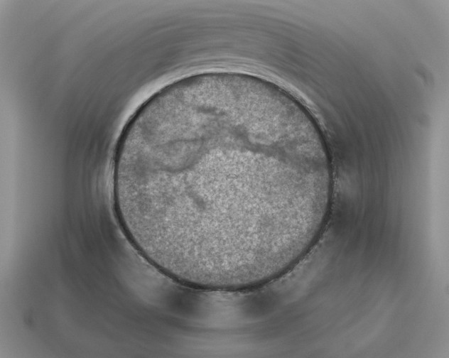 X0000113371514200909291040