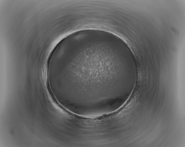 X0000113371515200909291040