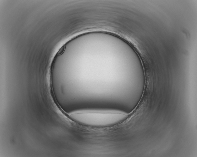 X0000113371516200909291040