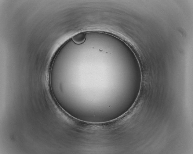 X0000113371517200909291040