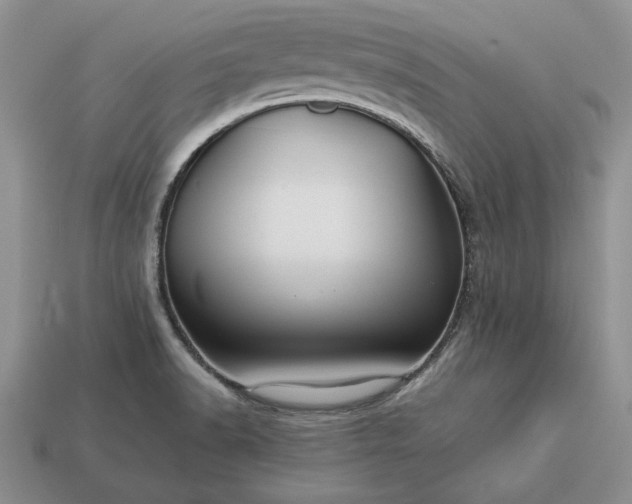 X0000113371518200909291040