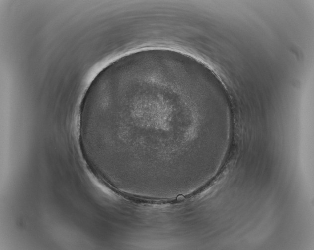 X0000113371519200909291040